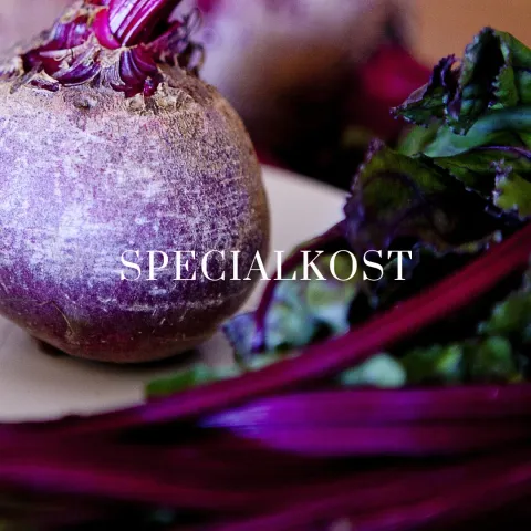 specialkost 